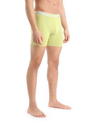 Pánské Spodní Prádlo Icebreaker Merino Anatomica Long Boxers Mátově Zelená | CZ 1664HAPK